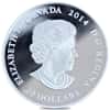 2014 Canada 1 oz Maple Leaf Impression Proof Silver Coin