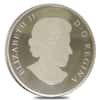 2015 10 oz Canadian Albert Einstein Theory of Relativity $100 Silver Coin Off Quality (In Cap)