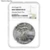 2016 1 oz Silver American Eagle NGC MS 69 Mint Error (Obv Struck Thru)