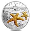 2017 Canada 1 oz Silver Atlantic Starfish Coin (w/Box & COA)