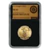2018 1/2 oz $25 Gold American Eagle NGC MS 69 (Retro, Director's Coin of Excellence)
