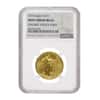 2018 1/4 oz $10 Gold American Eagle NGC MS 69 Mint Error (Obv Struck Thru)