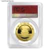 2018 30 Gram Chinese Gold Panda 500 Yuan PCGS MS 69 First Strike