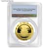 2018 30 Gram Chinese Gold Panda 500 Yuan PCGS MS 69 First Strike