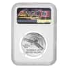2019 1 oz $100 Platinum American Eagle NGC MS 69
