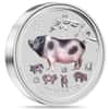 2019 1 Kilo Colorized Silver Lunar Pig BU Australian Perth Mint