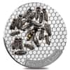 2019 Cameroon 1 oz Silver Honeybee - Benefit of Nature Prooflike Coin (w/Box & COA)