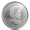 2020 1.25 oz Canada Bald Eagle Silver Coin .9999 Fine BU