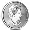 2020 10 oz Canadian Magnificent Silver Maple Leaf .9999 Fine $50 Coin BU (In Cap)
