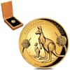 2020 P 2 oz Gold Australian Kangaroo High Relief Perth Mint (w/Box & COA)