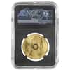 2020 South Africa 1 oz Proof Gold Big 5 Rhino NGC PF 69 FD Tumi Tsehlo (w/Box)