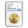 2021 1 oz Gold American Eagle NGC MS 69 ER