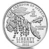2022-W 1 oz Proof Platinum American Eagle Freedom of Speech (w/Box & COA)
