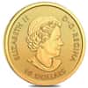 2022 1/4 oz Canadian Buffalo Gold Coin .9999 Fine BU