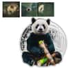 2022 1 oz Silver Giant Panda - Gentle Giants Solomon Islands $2 Coin .9999 Fine (w/Box & COA)