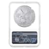2022-W 1 oz Burnished Silver American Eagle NGC MS 70 FDOI (Castle)