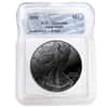 2024 1 oz Silver American Eagle Ruthenium Plated ICG Genuine