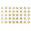 Lot of 40 - 2025 1/10 oz Canadian Gold Maple Leaf $5 Coin BU (Sealed)
