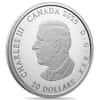2025 Canada 1 oz Interconnected Nature Proof Silver Coin