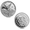 2026 1.9 oz Proof Mexican Silver Libertad 5-Coin Set (w/Box & COA)