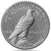 2026-P Morgan and Peace Silver Dollar Diamond Field 2-Coin Set (w/Box & COA)