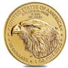 2026 1 oz Gold American Eagle $50 Coin BU (in Assay)