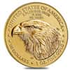 Roll of 20 - 2027 1 oz Gold American Eagle $50 Coin BU