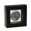 2026 2 oz Turtle Yaunati Antiqued Colorized Silver Coin Perth Mint