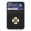 2026 Niue 1 Gram Spinosaurus Gold Coin NGC Reverse PF 70