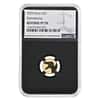 2026 Niue 1 Gram Spinosaurus Gold Coin NGC Reverse PF 70