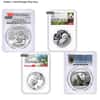 30 Gram Chinese Silver Panda 10 Yuan NGC/PCGS MS 70 (Random Year)