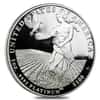 2011 W 1 oz $100 Platinum American Eagle Proof Coin NGC PF 70 UCAM