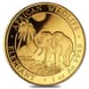 2017 Somalia 1 oz Gold African Elephant BU 1000 Shillings (In Capsule)