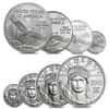2005 Platinum American Eagle (Statue of Liberty) - 4 coin year set 