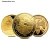 5 oz Generic Gold Round .999+ Fine (Secondary Market)