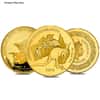 5 oz Gold Coin Random Mint .999+ Fine BU/Proof