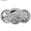 5 oz Random Mint Silver Coin .999+ Fine BU/Proof