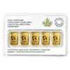 5 x 1/10 oz Gold Royal Canadian Mint RCM Legal Tender Bar Set .9999 Fine (In Assay)