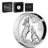 2023 1 oz Proof High Relief Silver Lunar Year of The Rabbit Australian Perth Mint (w/Box & COA)