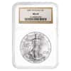 2007-W 1 oz Burnished Silver American Eagle NGC MS 69