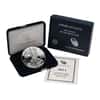 2013-W 1 oz Proof Silver American Eagle (w/Box & COA)