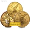1 oz Mexican Gold Onza / Libertad Scruffy (Random Year)
