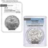 1 oz Silver American Eagle NGC/PCGS MS 69 (Random Year)