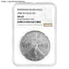 2006-W 1 oz Burnished Silver American Eagle $1 Coin NGC MS 69