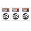 2019 China 30 gram Silver Panda 3-Coin Set NGC MS 70