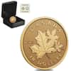 2023 Canada 1/20 oz Gold Everlasting Maple Coin .9999 Fine