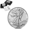2023-W 1 oz Burnished Silver American Eagle $1 Coin
