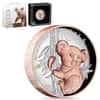 2024 5 oz Australian Koala Proof Gilded Silver Coin Perth Mint