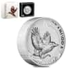 2024 5 oz Incused Silver Australian Kookaburra Perth Mint