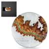 2024 Cook Islands 1 Kilo Silver Topography Grand Canyon Coin